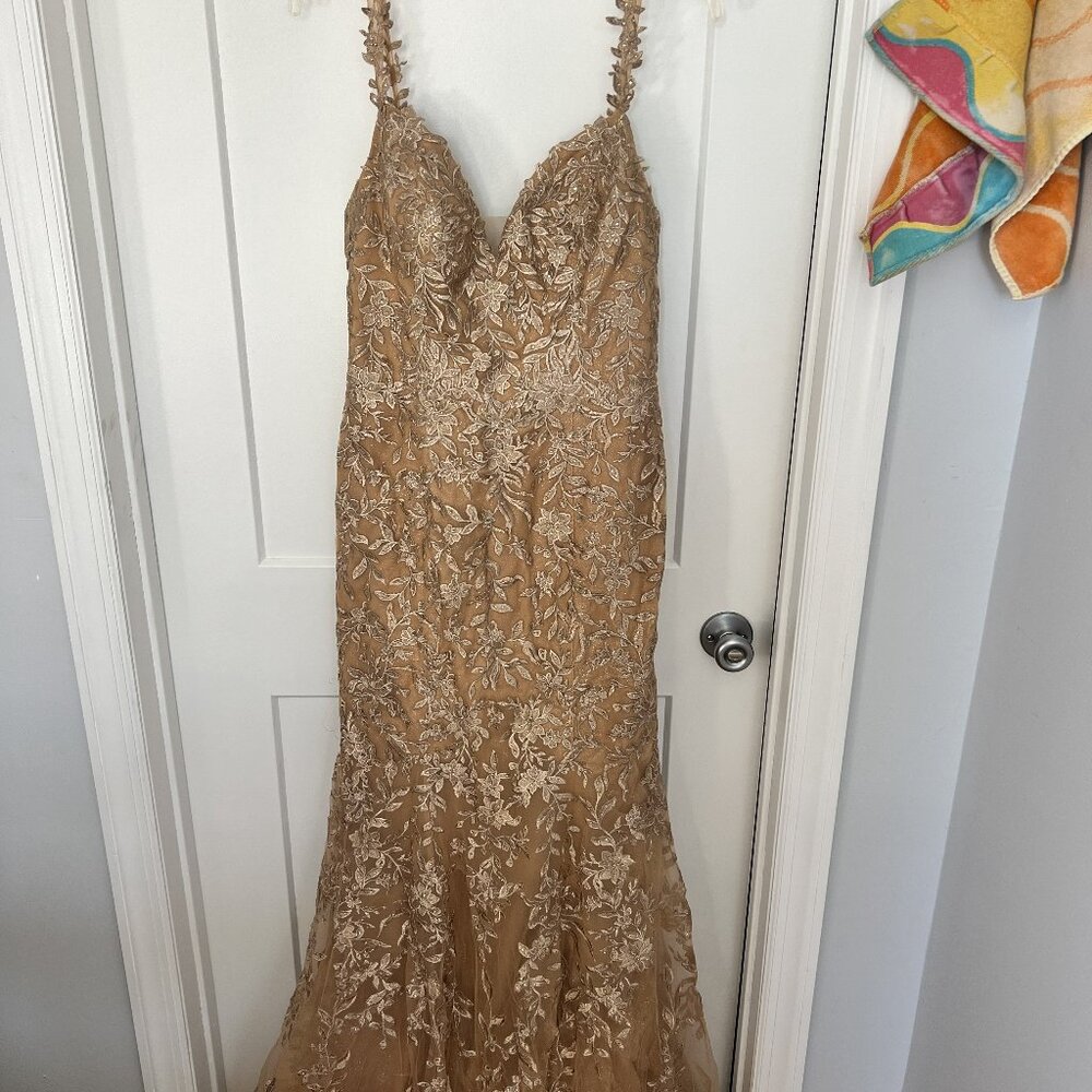 Camille La Vie Nude/Champagne Lace Mermaid Gown – Never Worn
